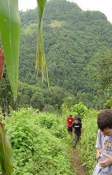 Chiang Mai