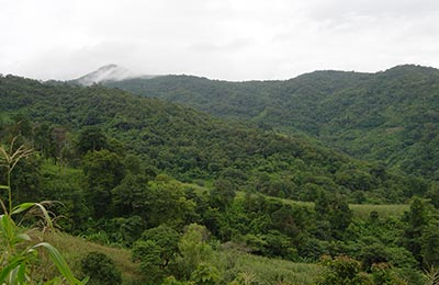 Chiang Mai