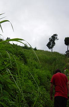 Chiang Mai