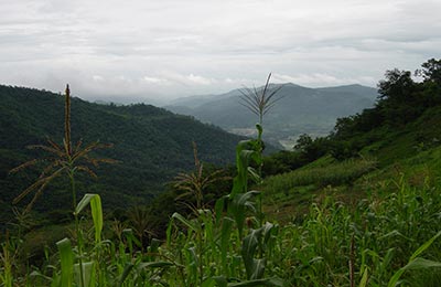 Chiang Mai