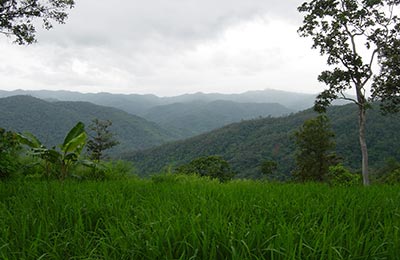 Chiang Mai