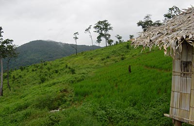 Chiang Mai