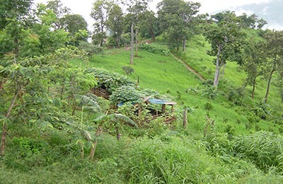 Chiang Mai