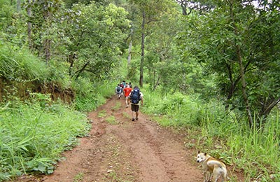 Chiang Mai