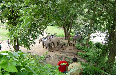 Chiang Mai