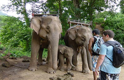 Chiang Mai