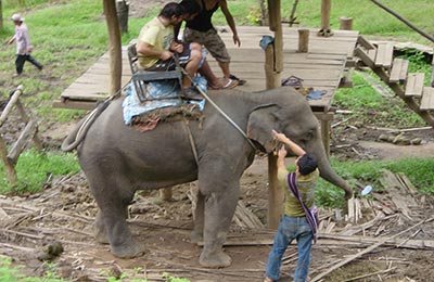 Chiang Mai