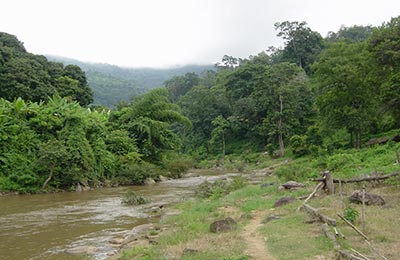 Chiang Mai