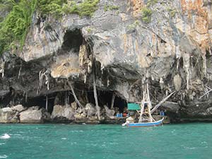 kho phi phi