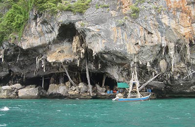 Kho Phi Phi