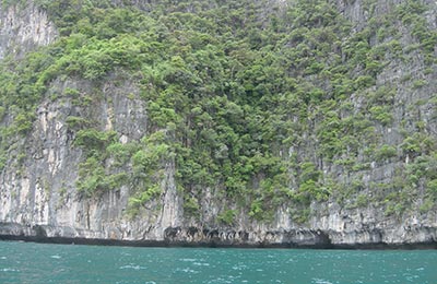 Kho Phi Phi