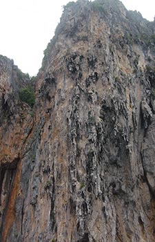 Kho Phi Phi