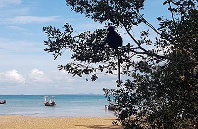 Koh Phi Phi y Railey