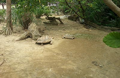 Taipei