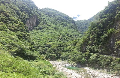 Taroko