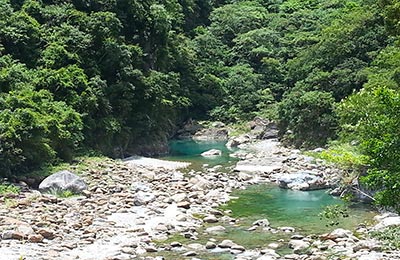 Taroko