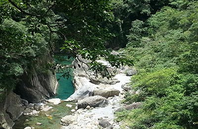 Taroko