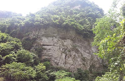 Taroko