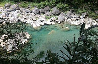 Taroko