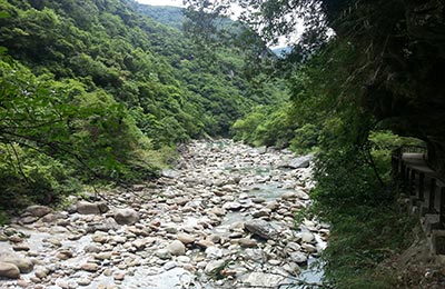 Taroko