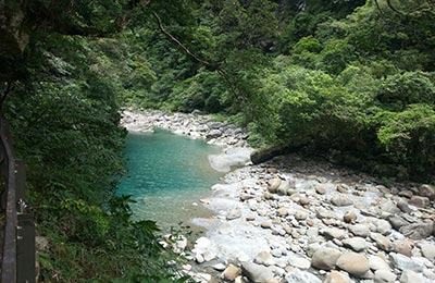 Taroko