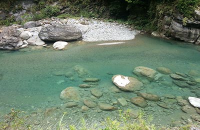 Taroko