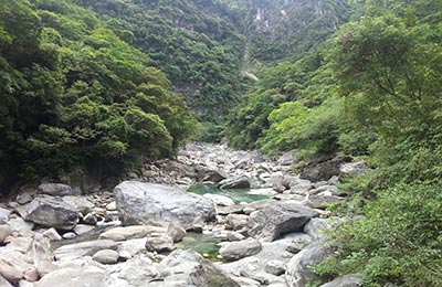 Taroko