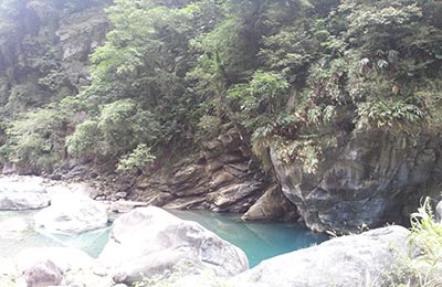 Taroko