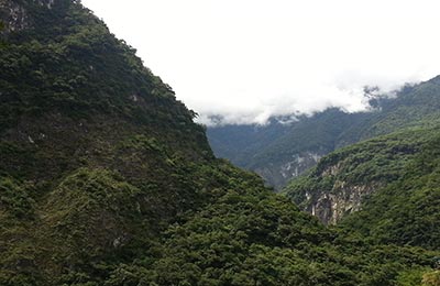 Taroko