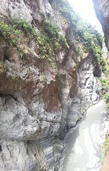 Taroko