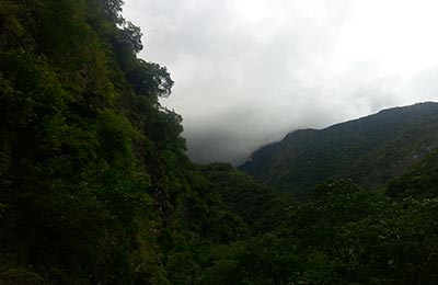 Taroko