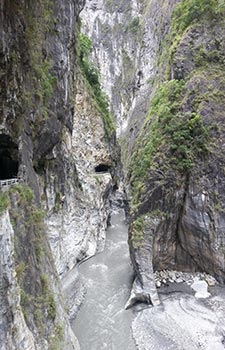 Taroko