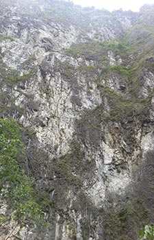 Taroko