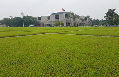 Hanoi