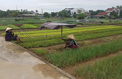 Hoi An