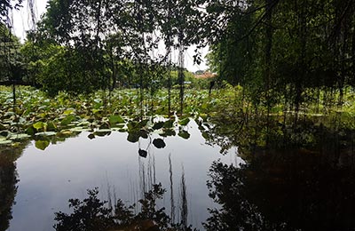 Ninh Binh