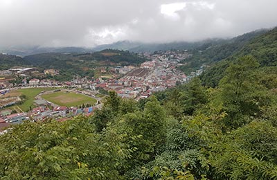 Sapa