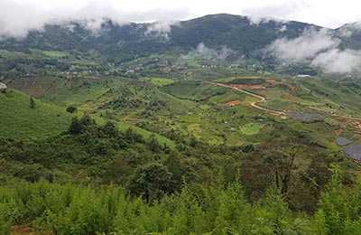 Sapa