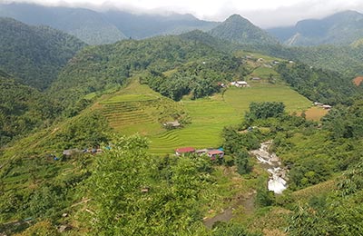 Sapa