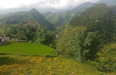 Sapa