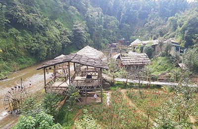 Sapa