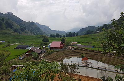 Sapa