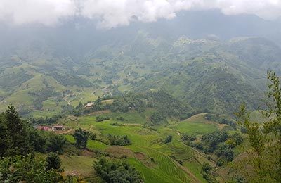 Sapa