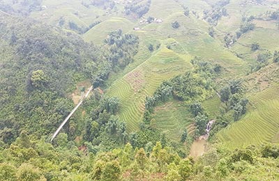 Sapa