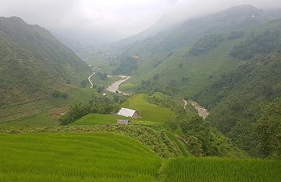 Sapa