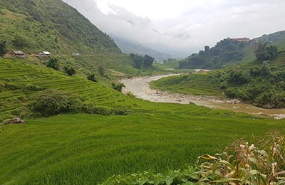 Sapa