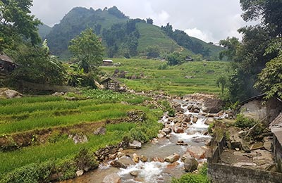 Sapa