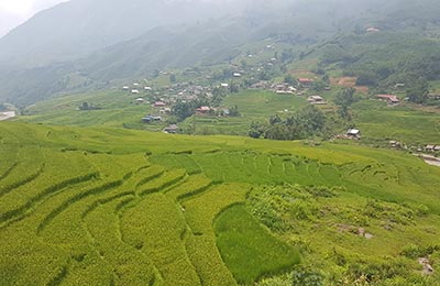 Sapa