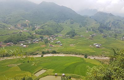 Sapa