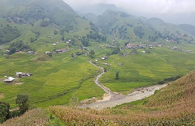 Sapa